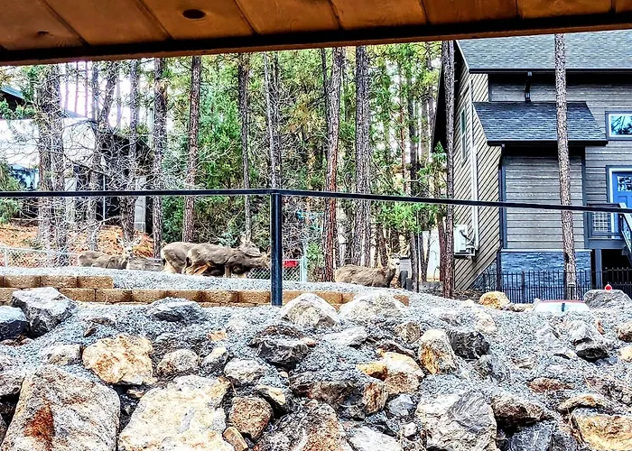 Relax & Recharge In Cozy 2br Retreat Holiday home